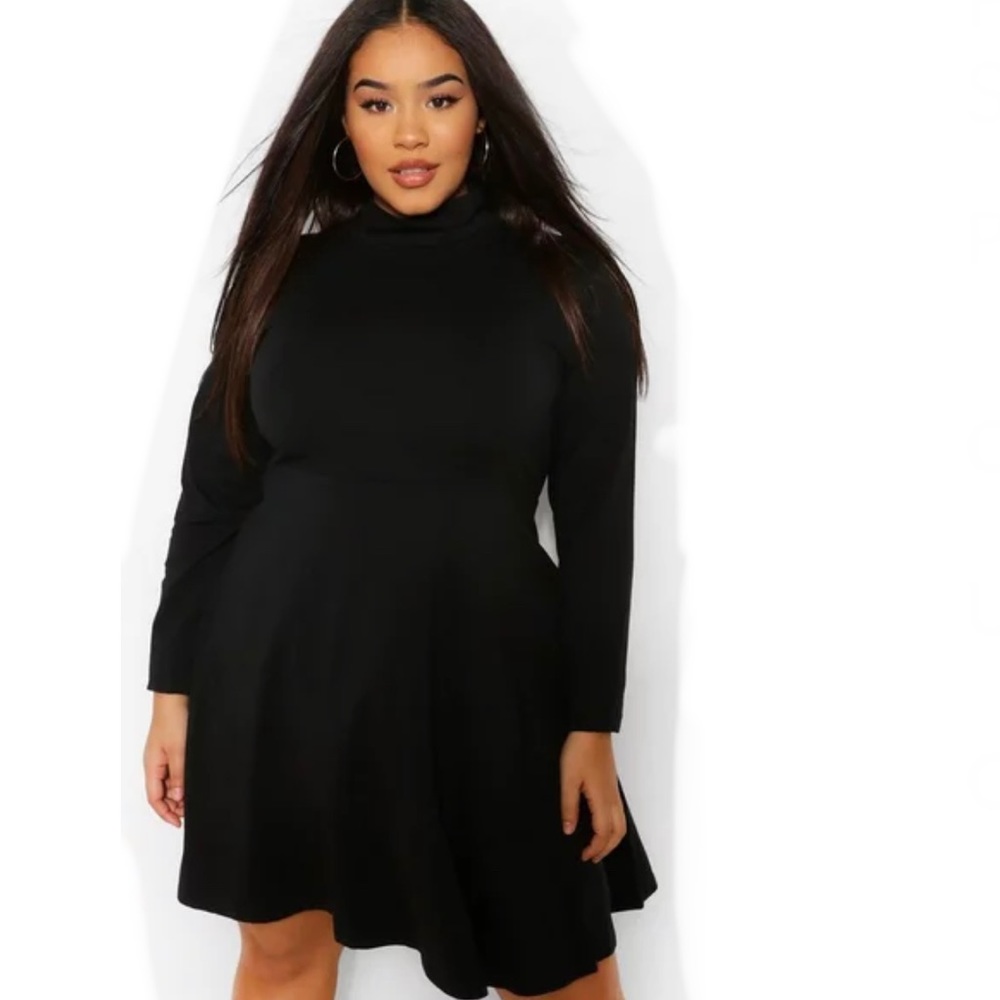 Long Sleeve High Neck Skater Dress